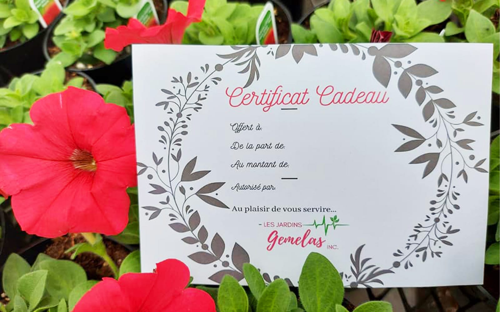 Les Jardins Gemelas Certificat Cadeau